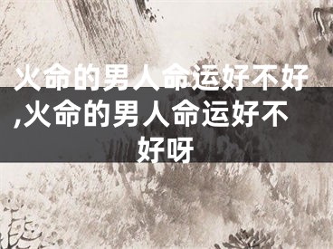 火命的男人命运好不好,火命的男人命运好不好呀