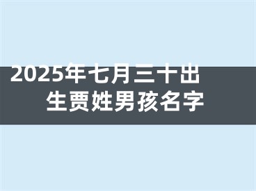 2025年七月三十出生贾姓男孩名字