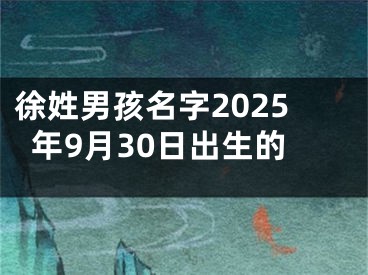 徐姓男孩名字2025年9月30日出生的