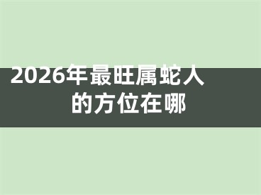 2026年最旺属蛇人的方位在哪