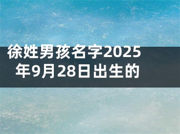 徐姓男孩名字2025年9月28日出生的