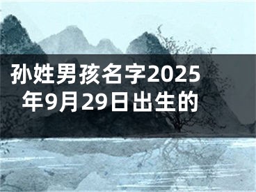 孙姓男孩名字2025年9月29日出生的