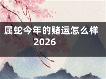 属蛇今年的赌运怎么样2026