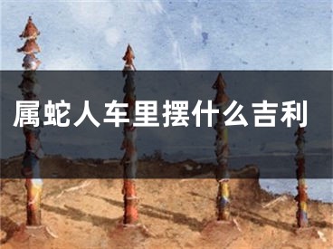 属蛇人车里摆什么吉利
