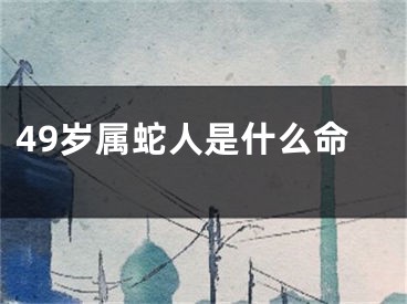 49岁属蛇人是什么命