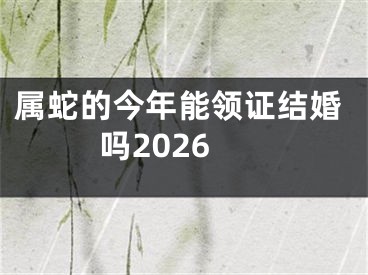 属蛇的今年能领证结婚吗2026