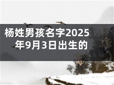 杨姓男孩名字2025年9月3日出生的