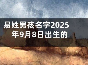 易姓男孩名字2025年9月8日出生的