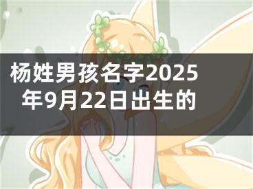 杨姓男孩名字2025年9月22日出生的