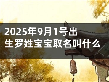 2025年9月1号出生罗姓宝宝取名叫什么