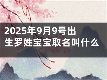 2025年9月9号出生罗姓宝宝取名叫什么