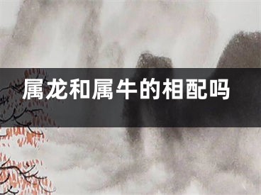 属龙和属牛的相配吗