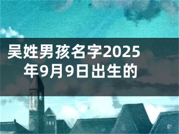 吴姓男孩名字2025年9月9日出生的
