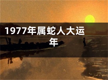 1977年属蛇人大运年