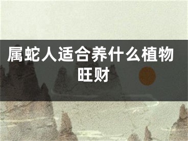 属蛇人适合养什么植物旺财