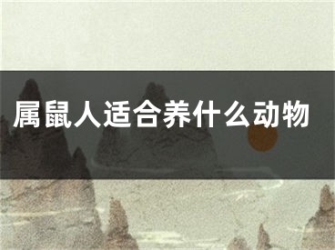 属鼠人适合养什么动物