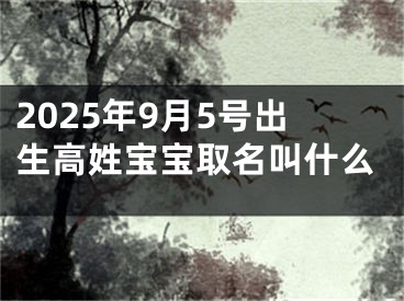 2025年9月5号出生高姓宝宝取名叫什么