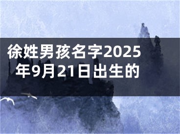 徐姓男孩名字2025年9月21日出生的