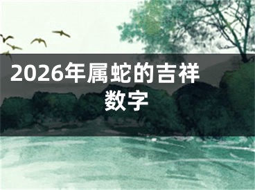 2026年属蛇的吉祥数字