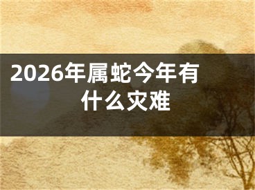 2026年属蛇今年有什么灾难