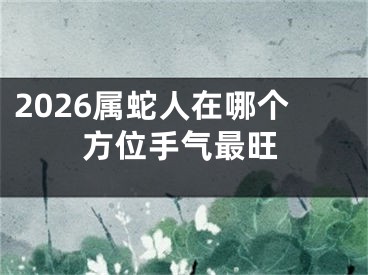 2026属蛇人在哪个方位手气最旺