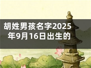 胡姓男孩名字2025年9月16日出生的