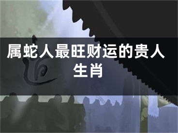属蛇人最旺财运的贵人生肖