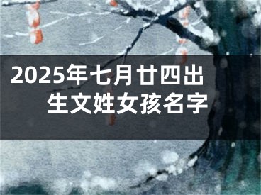 2025年七月廿四出生文姓女孩名字