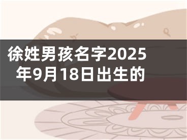 徐姓男孩名字2025年9月18日出生的
