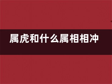 属虎和什么属相相冲