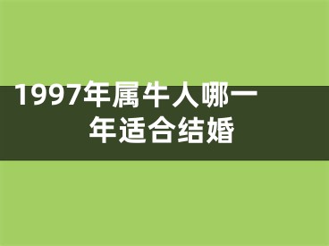 1997年属牛人哪一年适合结婚