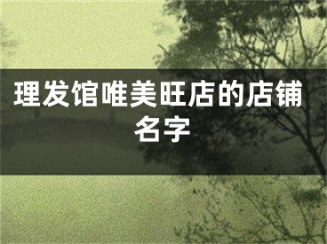 理发馆唯美旺店的店铺名字