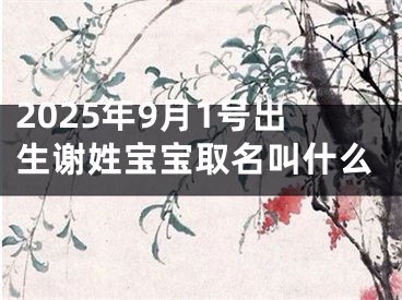2025年9月1号出生谢姓宝宝取名叫什么