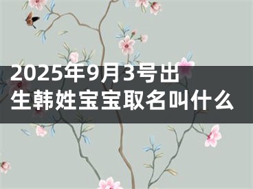 2025年9月3号出生韩姓宝宝取名叫什么