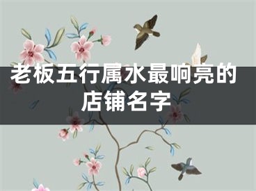 老板五行属水最响亮的店铺名字