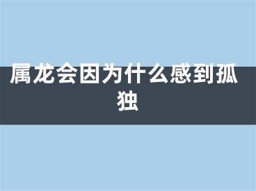 属龙会因为什么感到孤独