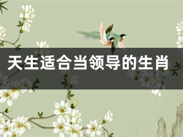 天生适合当领导的生肖