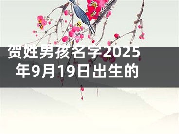 贺姓男孩名字2025年9月19日出生的
