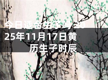 今日适合生子吗 2025年11月17日黄历生子时辰