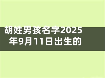 胡姓男孩名字2025年9月11日出生的