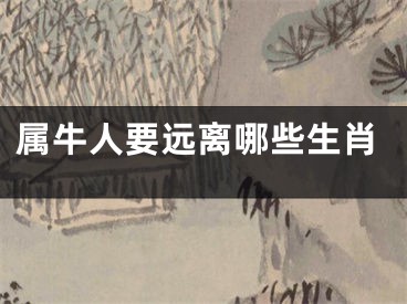 属牛人要远离哪些生肖