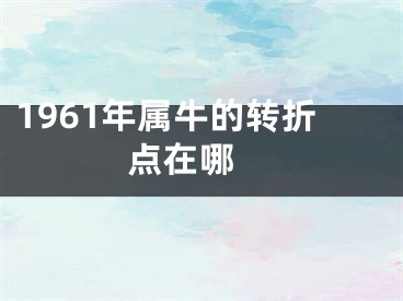 1961年属牛的转折点在哪 