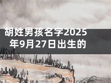 胡姓男孩名字2025年9月27日出生的