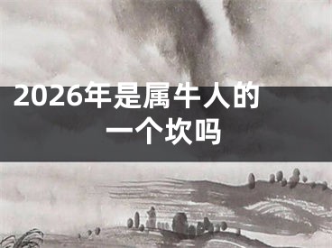 2026年是属牛人的一个坎吗