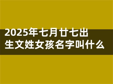2025年七月廿七出生文姓女孩名字叫什么