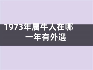 1973年属牛人在哪一年有外遇