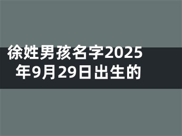 徐姓男孩名字2025年9月29日出生的