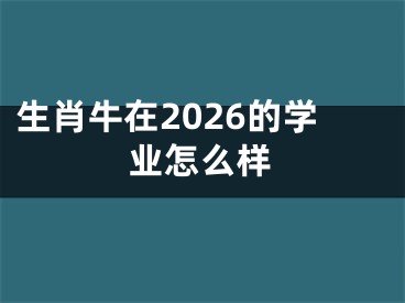 生肖牛在2026的学业怎么样