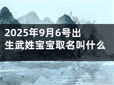 2025年9月6号出生武姓宝宝取名叫什么