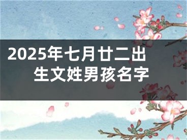 2025年七月廿二出生文姓男孩名字